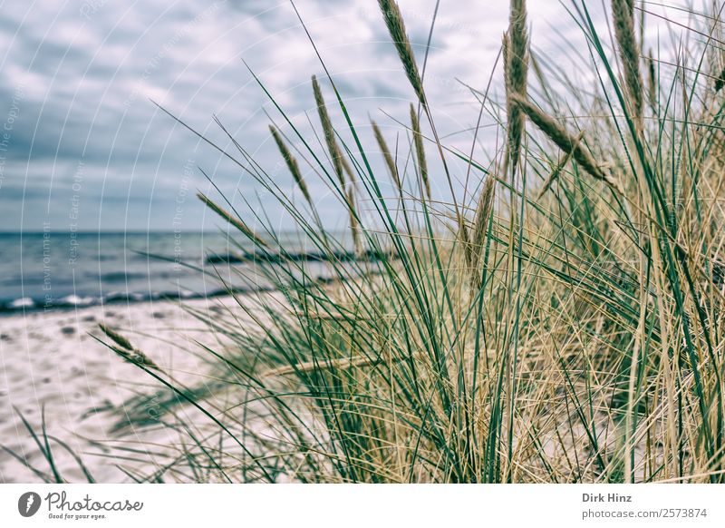 Badestrand bei Marstal / Dänemark Ferien & Urlaub & Reisen Tourismus Ausflug Ferne Sommer Sommerurlaub Strand Meer Insel Wellen Umwelt Landschaft Wolken