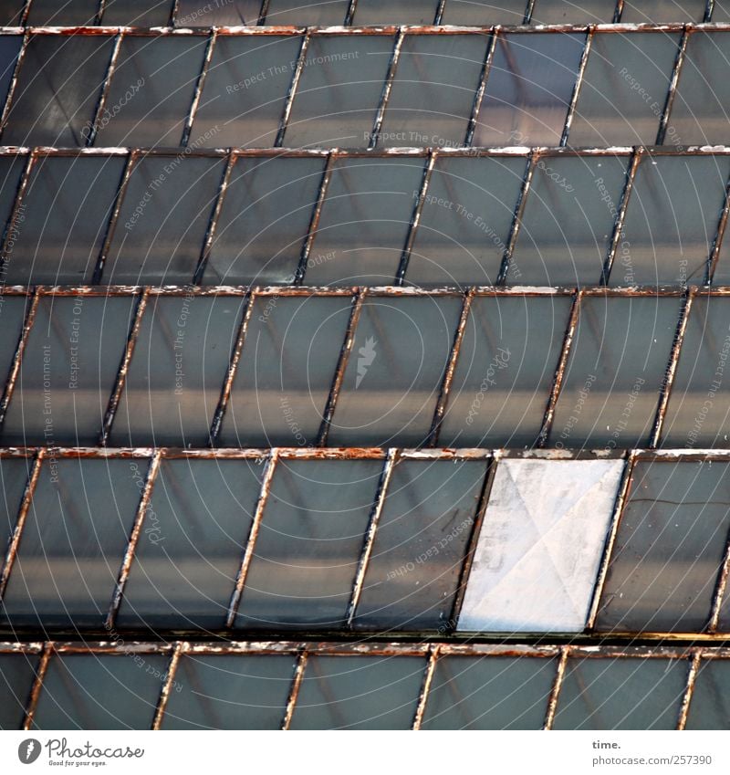 Hallenfußball Fabrik Architektur Fabrikhalle Dach Glasfassade Glasdach Glasscheibe alt kaputt einzigartig skurril Stadt Metallwaren Stab Eisenstangen