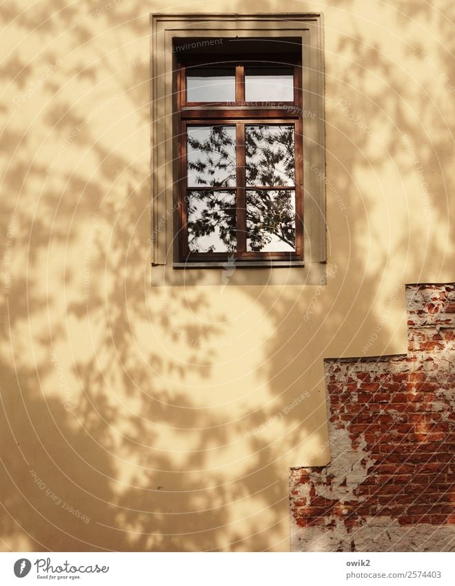 Treppenhaus Sommer Schönes Wetter Baum Blatt Kleinstadt Haus Mauer Wand Fassade Fenster Bewegung unvollendet Backstein freigelegt verputzt Putzfassade gelb