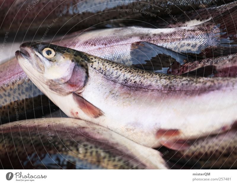 Zum Frühstück Fisch. Tier ästhetisch Fischereiwirtschaft Fischauge Tod Forelle Ekel Markt Markttag Fangquote Lebensmittel Delikatesse lecker Farbfoto