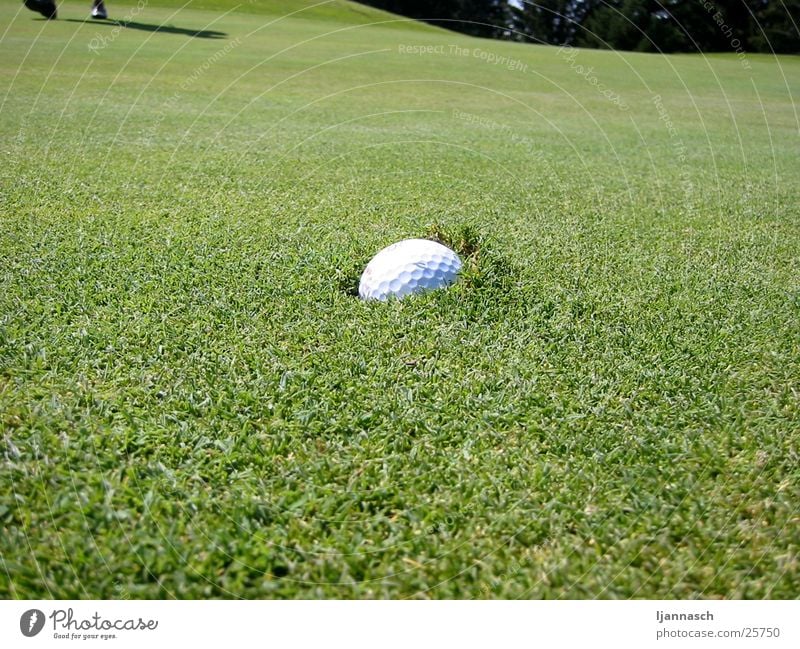 Golfball versenkt Gras Sport Pitchmarke