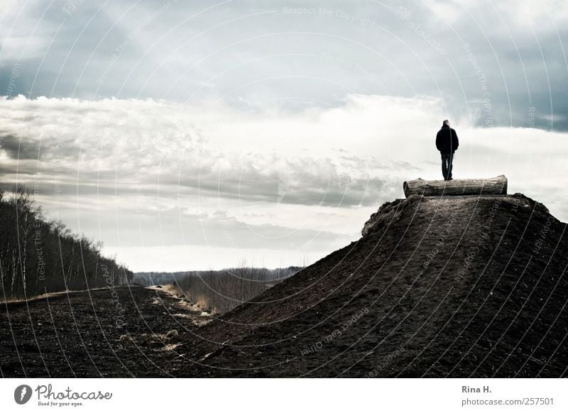 Aussicht Mensch maskulin Mann Erwachsene 1 Umwelt Natur Landschaft Himmel Wolken Horizont Herbst Winter Klima Wetter Moor Sumpf Himmelmoor beobachten Blick