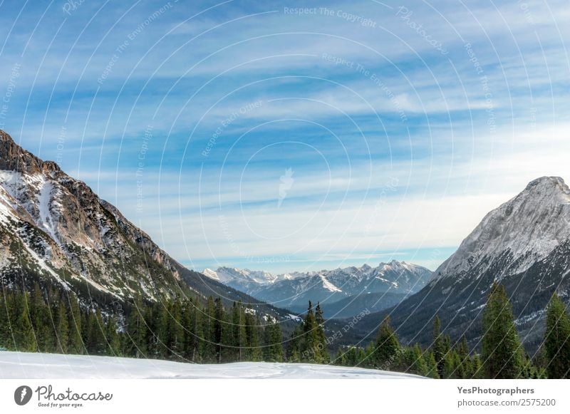 Schneebedeckte Berge und Tannenwälder Ferien & Urlaub & Reisen Tourismus Winter Winterurlaub Berge u. Gebirge Natur Landschaft Wetter Baum Wald Alpen Gipfel