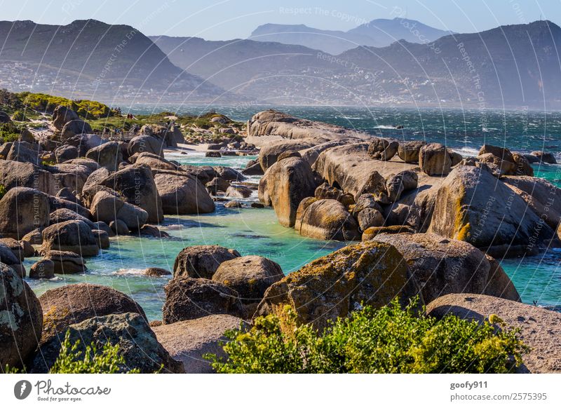 Simons Town Südafrika Ferien & Urlaub & Reisen Tourismus Ausflug Abenteuer Ferne Freiheit Strand Meer Umwelt Natur Landschaft Erde Wasser Horizont