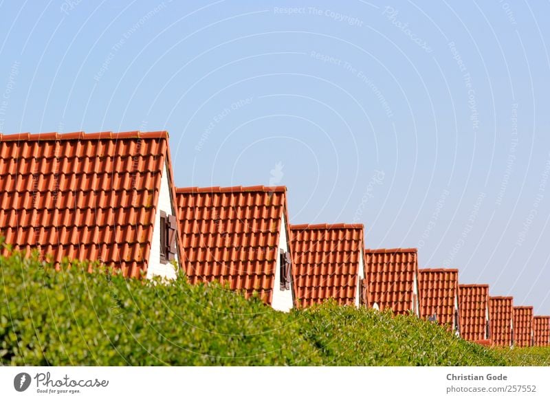 Reihenhäuser Haus Einfamilienhaus Bauwerk Gebäude Architektur Garten rot Dach Reihenhaus Hecke Autofenster Blauer Himmel Spitzdach Dachziegel Staffelung