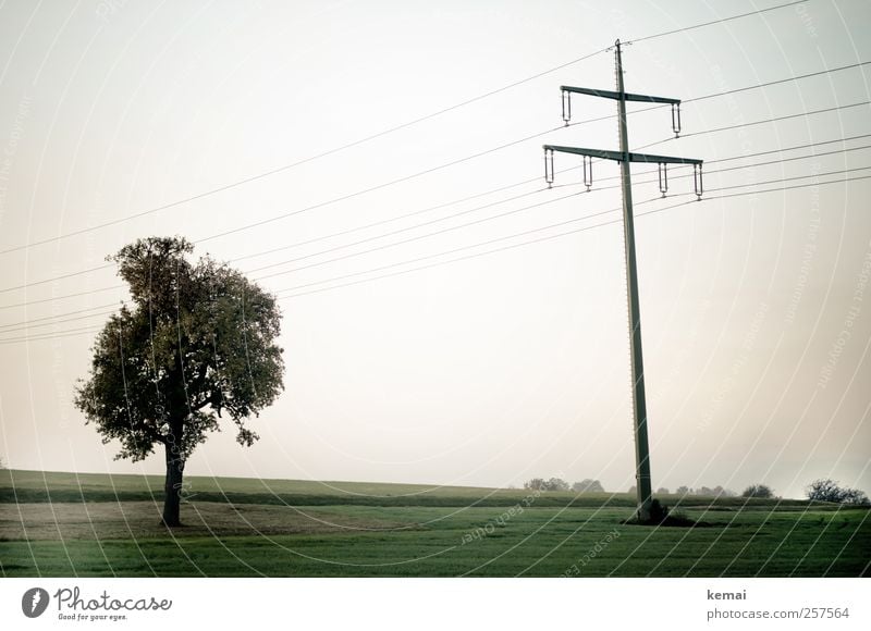 Arriving somewhere, but not here Umwelt Natur Landschaft Pflanze Himmel Herbst Baum Gras Wiese Feld Strommast Hochspannungsleitung grün ruhig Einsamkeit