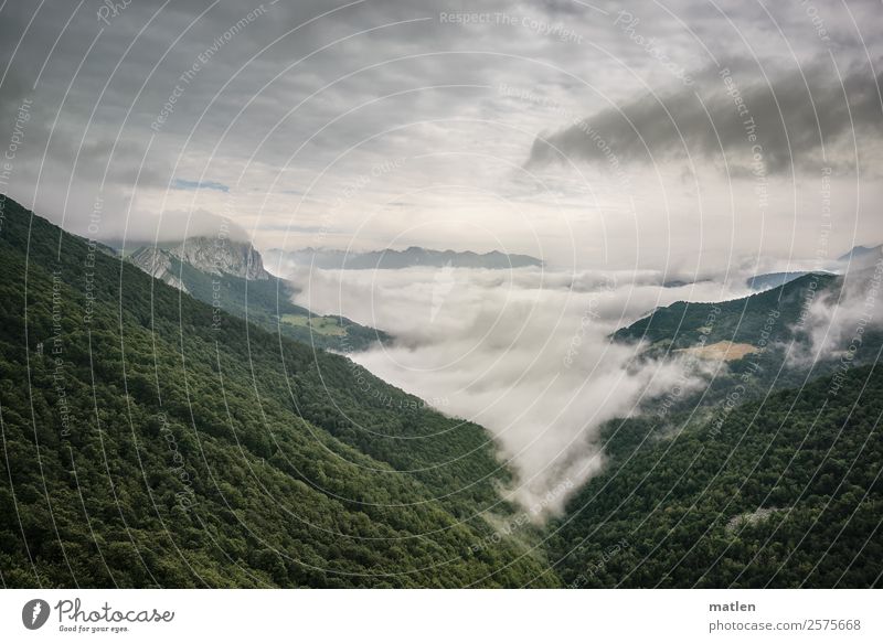 Wolkendecke Umwelt Natur Landschaft Pflanze Himmel Horizont Sommer schlechtes Wetter Baum Wald Hügel Felsen Berge u. Gebirge Gipfel dunkel grau grün Pyrenäen