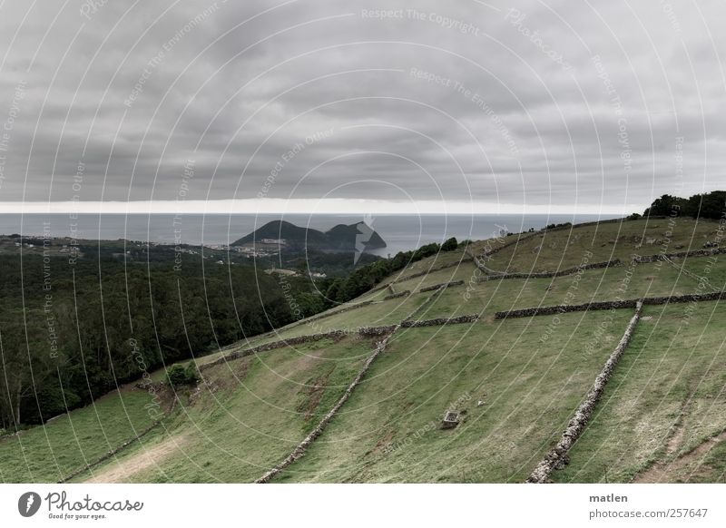 borderline Landschaft Erde Wasser Himmel Wolken Horizont Sommer Klima schlechtes Wetter Baum Gras Wiese Feld Wald Hügel Schlucht Küste Meer Insel Kleinstadt