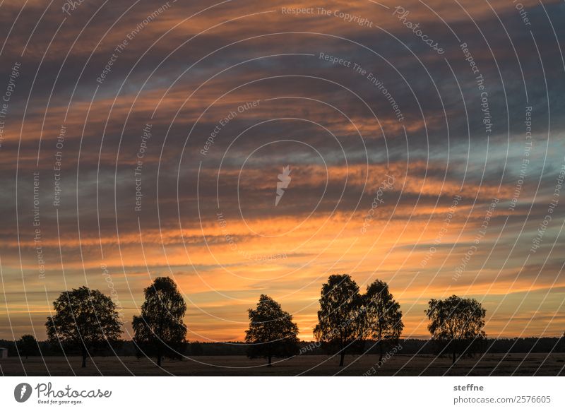 . Natur Landschaft Sonnenaufgang Sonnenuntergang Sommer Herbst Idylle Hoffnung Spiritualität malerisch Farbfoto Außenaufnahme Menschenleer Textfreiraum oben