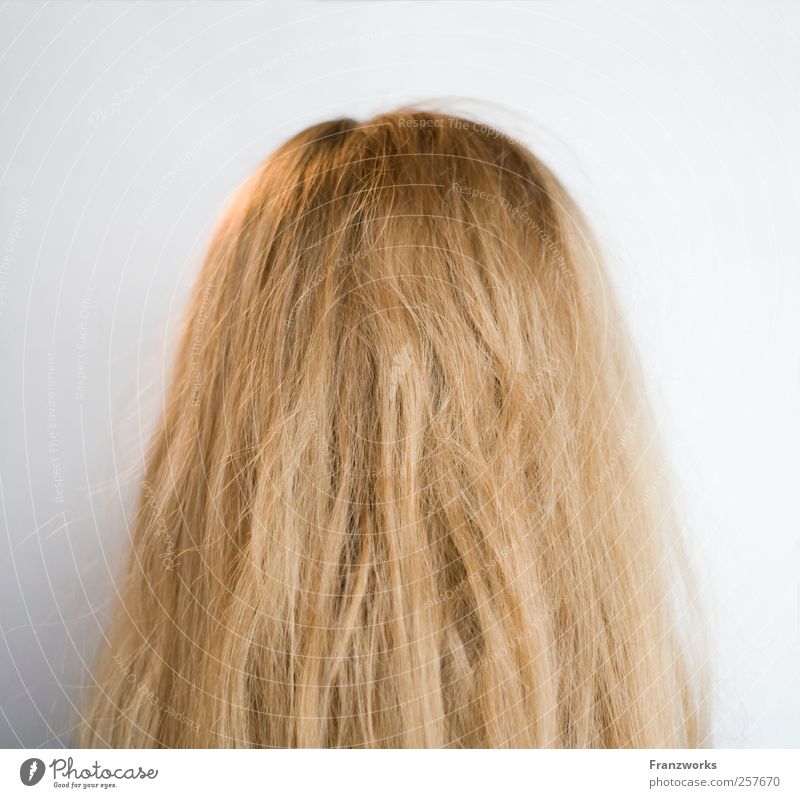 Identität I Mensch feminin Haare & Frisuren 1 Kunst blond langhaarig ästhetisch Neugier komplex Natur Hinterkopf Fragen Irritation fremd Strukturen & Formen