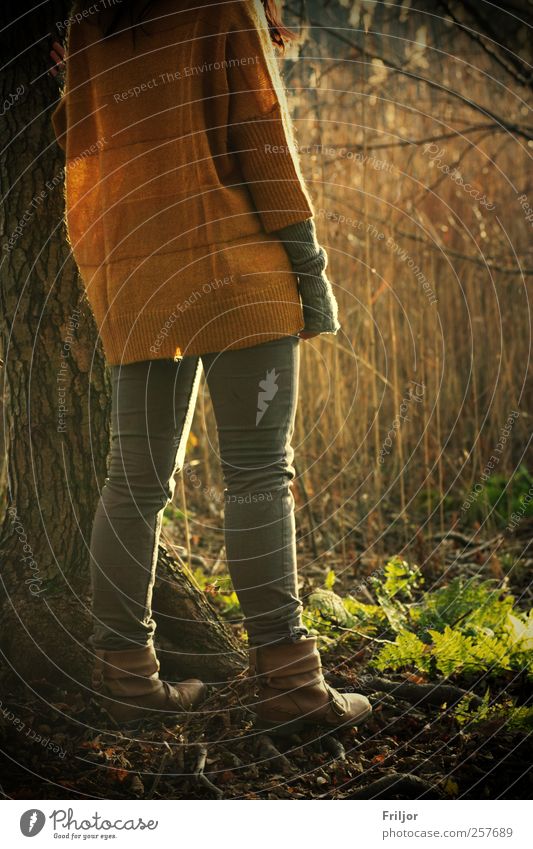 Ein Tag am See Mensch feminin Junge Frau Jugendliche Erwachsene Freundschaft Rücken Beine 1 18-30 Jahre Natur Pflanze Erde Wasser Sonnenlicht Winter