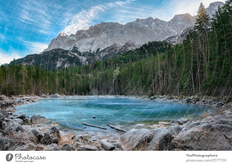 Gefrorener Alpensee und immergrüner Wald Winter Winterurlaub Berge u. Gebirge Natur Landschaft Schönes Wetter Eis Frost Felsen Gipfel See blau weiß Bayern