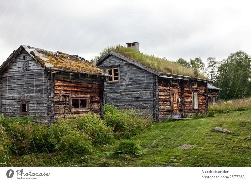 Alterserscheinungen | Nur an der Oberfläche Ferien & Urlaub & Reisen Tourismus wandern Häusliches Leben Haus Traumhaus Renovieren Handwerk Natur Landschaft