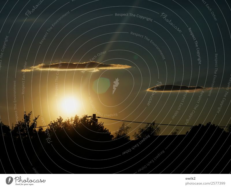 Hat sich bewegt! Umwelt Natur Landschaft Himmel Wolken Sonne Schönes Wetter Baum leuchten unheimlich Farbfoto Außenaufnahme Menschenleer Textfreiraum rechts