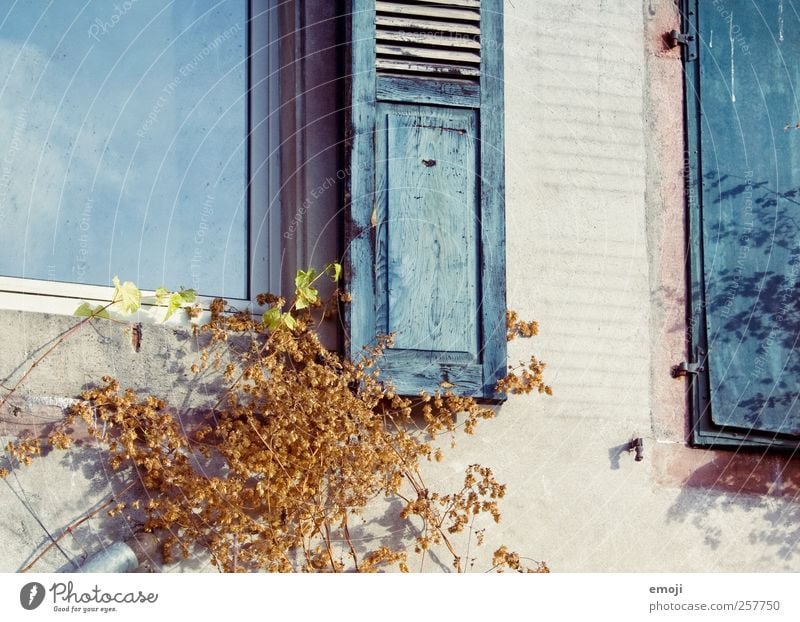 windows | retro style Haus Einfamilienhaus Gebäude Mauer Wand Fassade Fenster alt blau Farbfoto Außenaufnahme Detailaufnahme Menschenleer Tag Licht Sonnenlicht