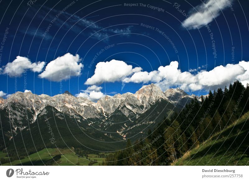 Steinernes Meer Erholung ruhig Ferien & Urlaub & Reisen Ferne Freiheit Sommerurlaub Berge u. Gebirge Natur Landschaft Himmel Wolken Schönes Wetter Pflanze Baum