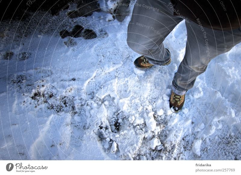 schneespur wandern Mensch 1 Natur Winter Eis Frost Schnee Hose Jeanshose Schuhe Wanderschuhe gehen stehen kalt blau grau weiß Abenteuer Farbfoto Außenaufnahme