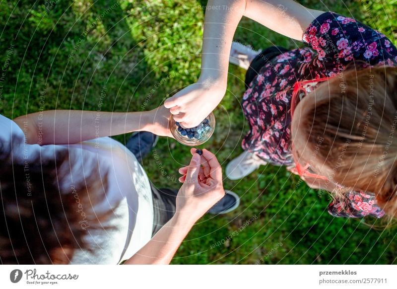 Mädchen und Junge genießen die frischen Blaubeeren im Freien in einem Garten im Sommer. Mädchen trägt rot-blaue geblümte Bluse, Junge trägt weißes T-Shirt