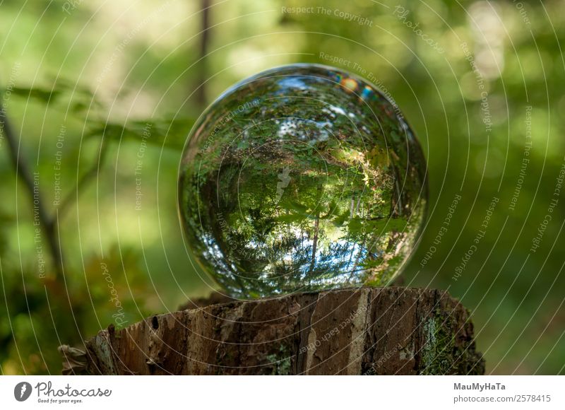 Kristallkugel Natur Landschaft Pflanze Luft Frühling Sommer Herbst Baum Gras Blatt Wildpflanze Garten Park Wald Lupe Luftballon Holz Glas Kristalle Glück