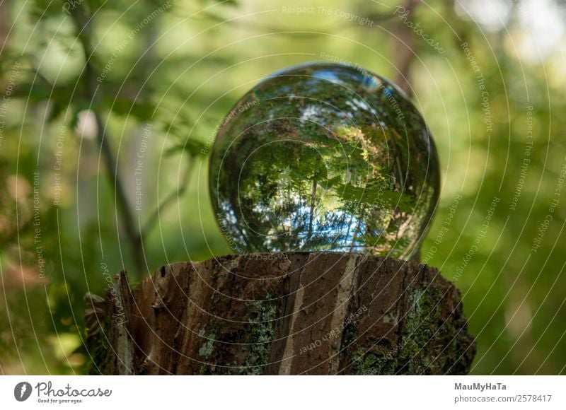 Kristallkugel Natur Landschaft Pflanze Luft Frühling Sommer Herbst Klima Baum Gras Blatt Wildpflanze Garten Park Wald Spiegel Lupe Luftballon Glas Kristalle