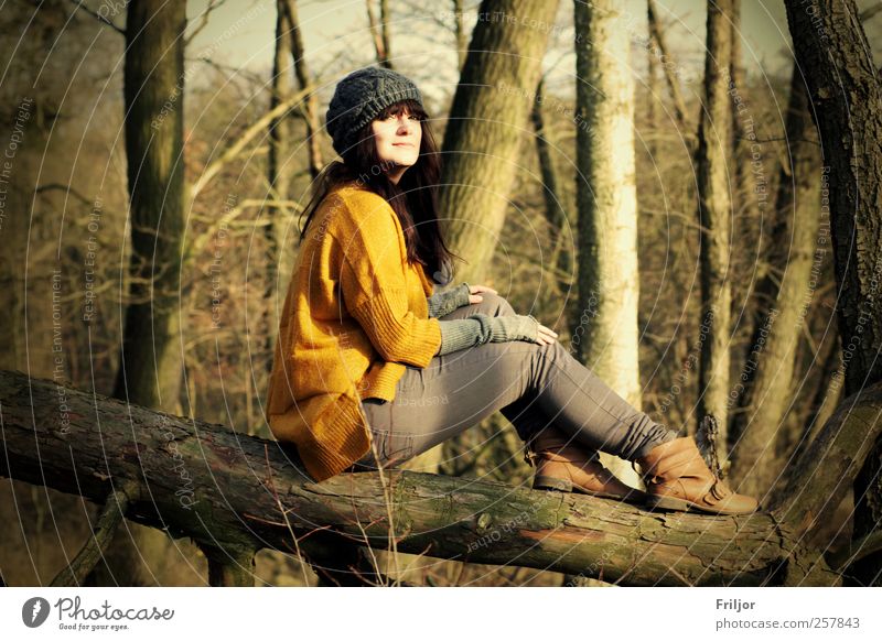 Ausblick Ausflug Abenteuer Freiheit feminin Junge Frau Jugendliche 1 Mensch 18-30 Jahre Erwachsene Natur Pflanze Sonnenlicht Herbst Winter Schönes Wetter Baum