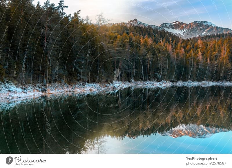 Alpenwald und verschneite Alpen am Eibsee Ferien & Urlaub & Reisen Winter Schnee Berge u. Gebirge Natur Landschaft Wetter Schönes Wetter Gipfel schön Symmetrie