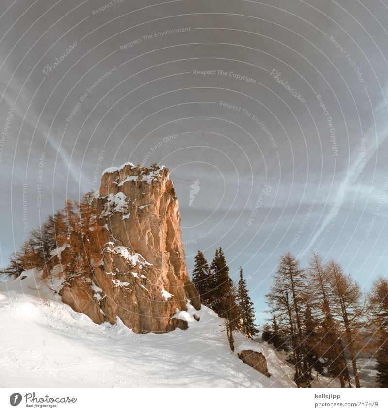 stein der weisen Umwelt Natur Landschaft Pflanze Tier Winter Baum Felsen Alpen Berge u. Gebirge Gipfel Schneebedeckte Gipfel weiß Macht alpin Berghang