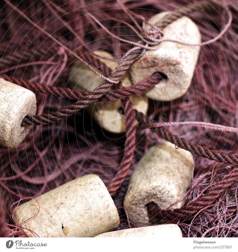 Neuer Tag neues Glück Fischereiwirtschaft Fischernetz Farbfoto Außenaufnahme Makroaufnahme