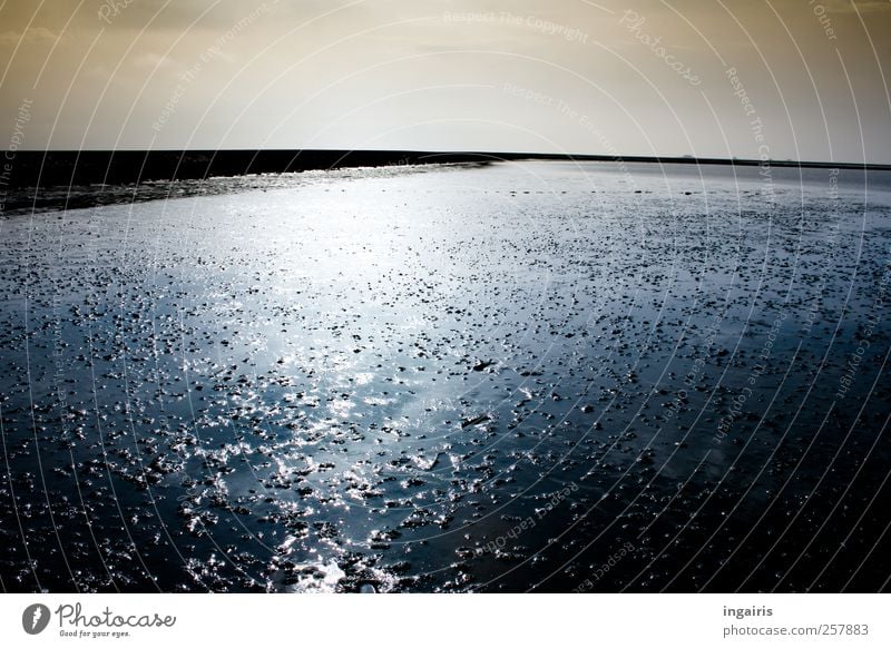 Gezeiten Ferien & Urlaub & Reisen Ferne Strand Meer Umwelt Sand Luft Wasser Himmel Horizont Küste Nordsee leuchten Unendlichkeit blau braun weiß Stimmung