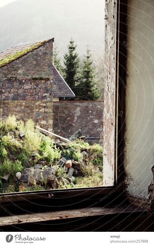 Rahmen Natur Erde Haus Mauer Wand Fassade Fenster alt braun grün Fensterrahmen Fensterblick verfallen morsch Farbfoto Außenaufnahme Innenaufnahme Menschenleer