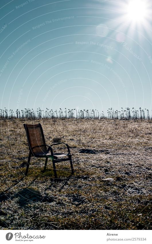 Platz an der Sonne Umzug (Wohnungswechsel) Möbel Stuhl Gartenstuhl Wolkenloser Himmel Winter Klimawandel Eis Frost Brachland frieren kalt braun weiß Einsamkeit