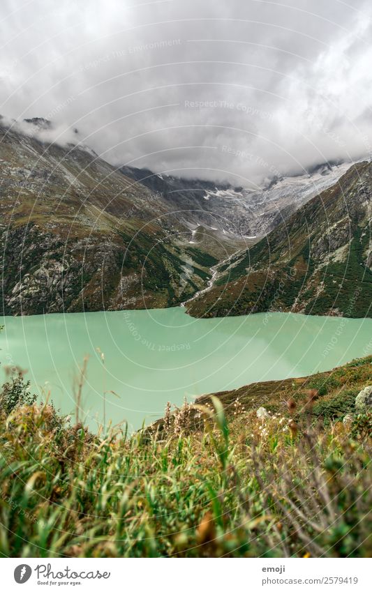 Göscheneralp Freizeit & Hobby Wandertag Umwelt Natur Landschaft Wolken Herbst Klima Wetter Berge u. Gebirge See Fluss außergewöhnlich natürlich grün Tourismus