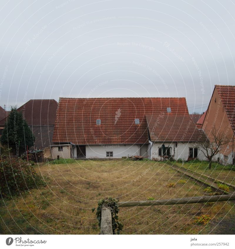 scheuer Umwelt Natur Landschaft Himmel Herbst Pflanze Baum Gras Sträucher Grünpflanze Garten Dorf Haus Bauwerk Gebäude Architektur Scheune natürlich trist