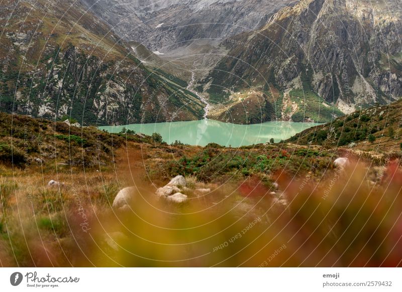 Göscheneralpsee Freizeit & Hobby Wandertag Umwelt Natur Landschaft Wolken Herbst Klima Wetter Berge u. Gebirge See Fluss außergewöhnlich natürlich grün