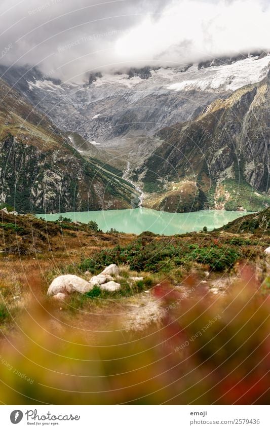 Göscheneralpsee Freizeit & Hobby Wandertag Umwelt Natur Landschaft Wolken Herbst Klima Wetter Berge u. Gebirge See Fluss außergewöhnlich natürlich grün