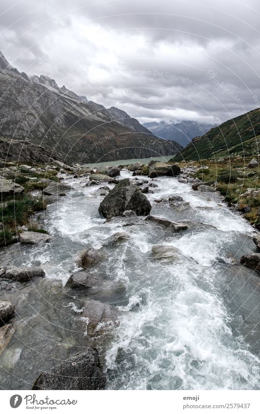 Wildbach Umwelt Natur Landschaft Herbst Klima Wetter schlechtes Wetter Unwetter Berge u. Gebirge Bach Fluss bedrohlich dunkel Farbfoto Gedeckte Farben