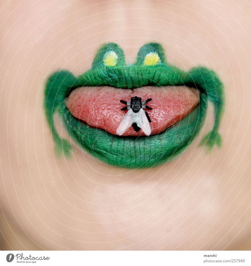 Mahlzeit! Haut Gesicht Mund Lippen Tier Frosch Tiergesicht 1 grün Fliege Zunge Nahrungssuche gefangen Farbfoto Innenaufnahme graphisch Grafik u. Illustration