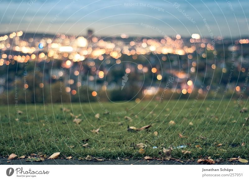 Blick auf Sheffield III Natur Landschaft Himmel Park Wiese Großbritannien Stadt Stadtrand bevölkert blau gold grün Gefühle Stimmung Aussicht Skyline Unschärfe