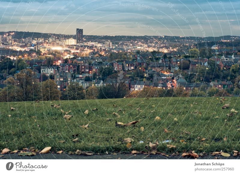 Blick auf Sheffield IV Natur Landschaft Himmel Großbritannien Stadt Stadtrand Skyline bevölkert Hochhaus blau grün Aussicht Park Wiese Haus Lichtermeer Horizont