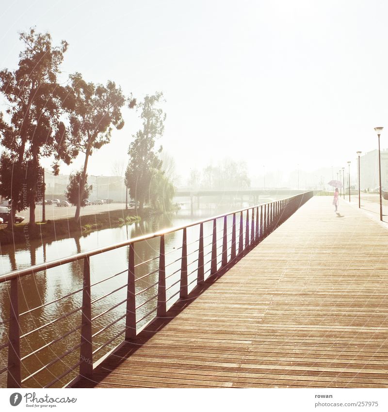 promenade, morgens Mädchen 1 Mensch Sonnenaufgang Sonnenuntergang Sonnenlicht Flussufer Bauwerk Architektur Promenade Holzfußboden Geländer Wasser Baum Sepia