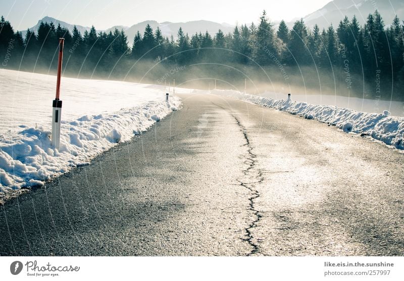 Fernbeziehung Ferien & Urlaub & Reisen Tourismus Ausflug Abenteuer Ferne Freiheit Winter Schnee Winterurlaub Landschaft Schönes Wetter Eis Frost Baum Wald Alpen