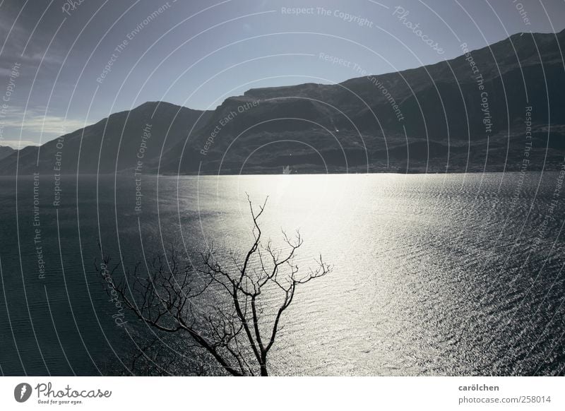 Wind Umwelt Natur Landschaft Alpen Berge u. Gebirge Wellen See blau grau silber Gardasee Ast Gegenlicht Farbfoto Gedeckte Farben Außenaufnahme Menschenleer