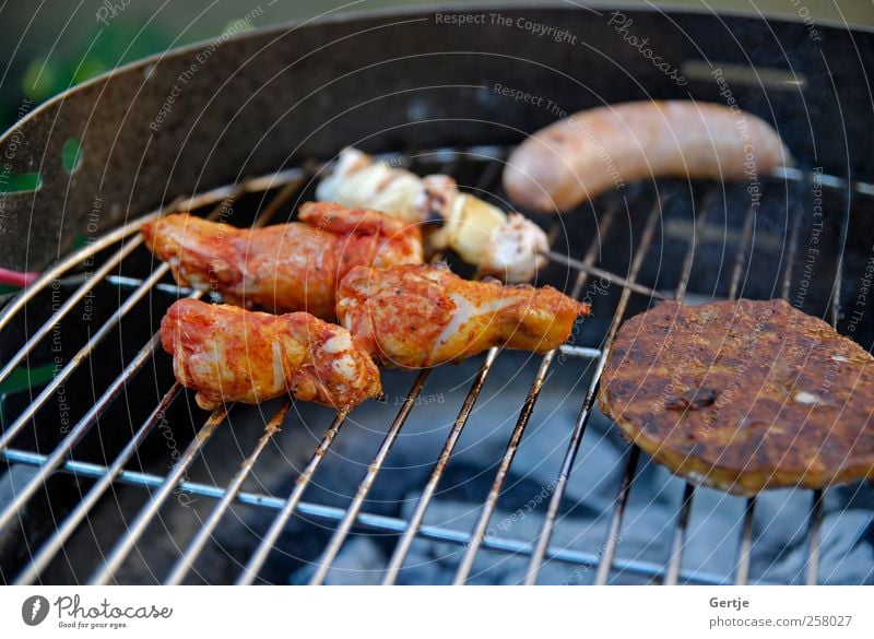 Grillparty mit Familie Fleisch Sommer Zigarettenasche Rindfleisch Hähnchen Flamme glühen Hamburger heizen Picknick Schweinefleisch Braten gebraten Shish