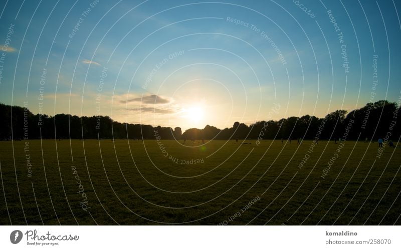 Liegewiese Ferien & Urlaub & Reisen Ausflug Sommer Sonne Menschenmenge Landschaft Erde Himmel Sonnenaufgang Sonnenuntergang Wetter Schönes Wetter Garten Wiese