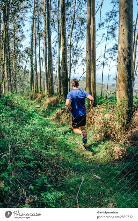 Junger Mann auf Spurensuche Lifestyle Abenteuer Berge u. Gebirge Sport Mensch Erwachsene Paar Natur Baum Wald Wege & Pfade Fitness authentisch Geschwindigkeit