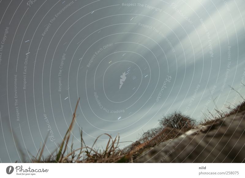 nachts unterwegs Natur Landschaft Wolken Nachthimmel Stern Winter Wind Sturm Park beobachten blau grau Weltall Ferne Farbfoto Außenaufnahme Textfreiraum oben