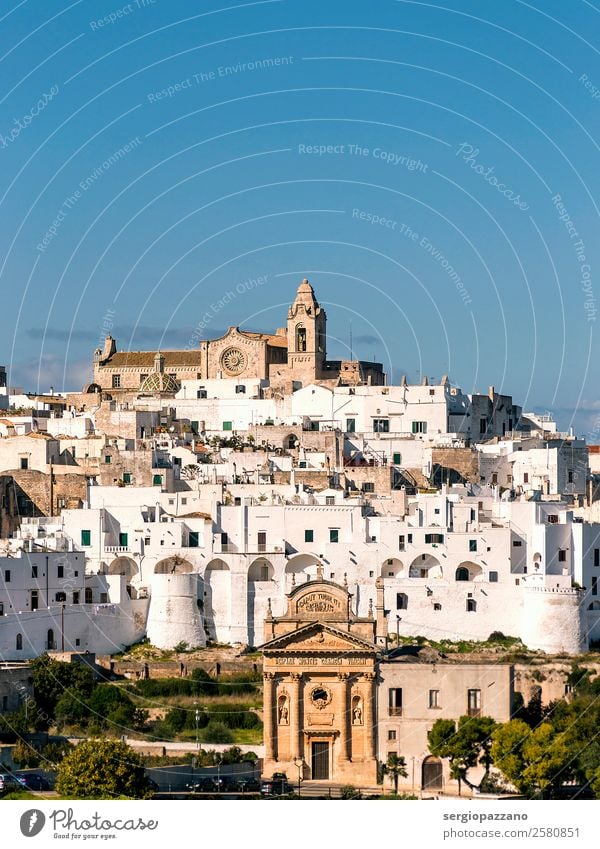 Panoramablick auf das weiße Dorf Ostuni im Salento Lifestyle exotisch Freude Fahrradfahren Schwimmen & Baden Joggen Segeln Natur Landschaft Küste Italien