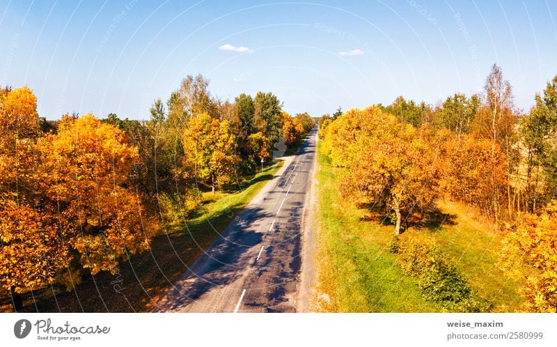 Luftaufnahme der Landstraße. Gerade Straßenansicht von oben. Ferien & Urlaub & Reisen Tourismus Ausflug Ferne Natur Landschaft Pflanze Himmel Sommer Herbst