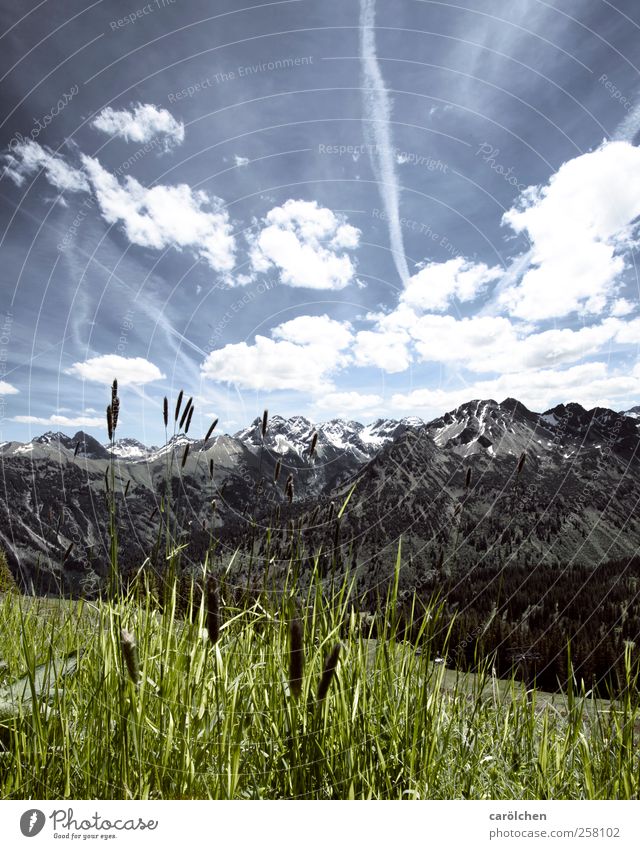 Allgäu Umwelt Natur Landschaft Alpen blau grün Allgäuer Alpen Oberstdorf Fellhorn Gras Berge u. Gebirge Himmel Farbfoto Gedeckte Farben Außenaufnahme