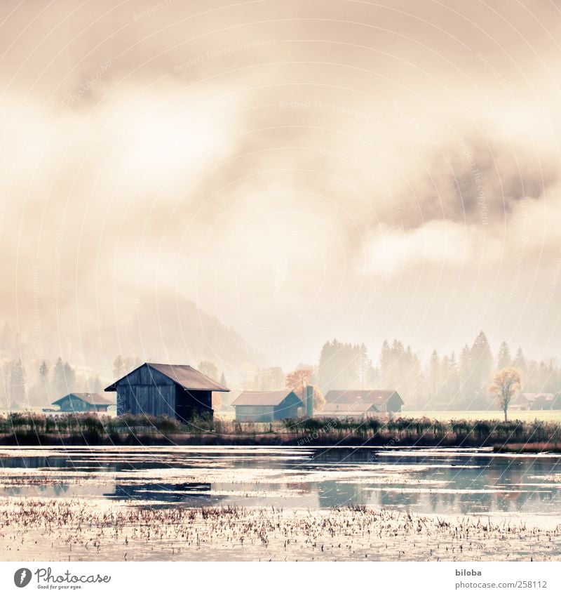 Haus am See spiegelt sich in herbstlicher Stimmung im Wasser des Lenkersees. spiegeln Umwelt Natur Landschaft Wolken Sonnenlicht Sommer Herbst Strand Schilfrohr